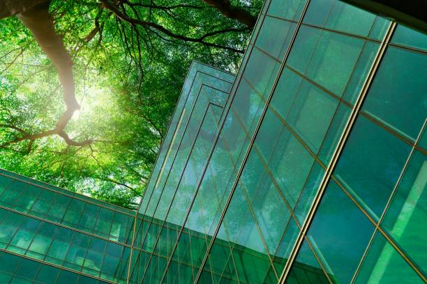 couleur verte